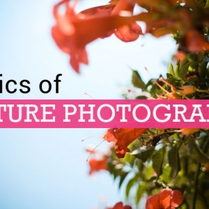 photography3 photography3